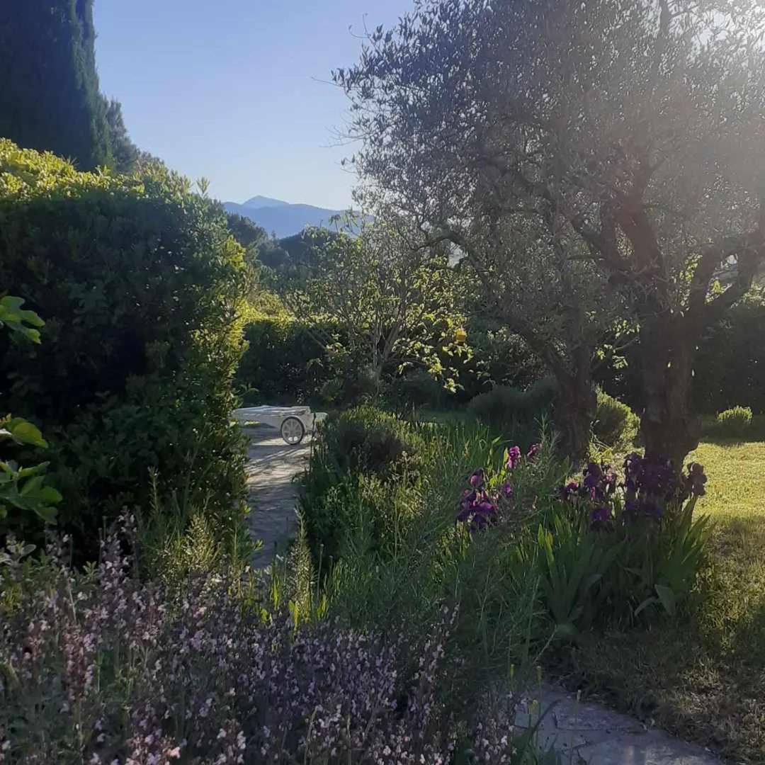 Les Verveines De Vaison Eksteriør billede